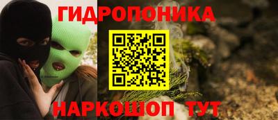 стаф Котовск