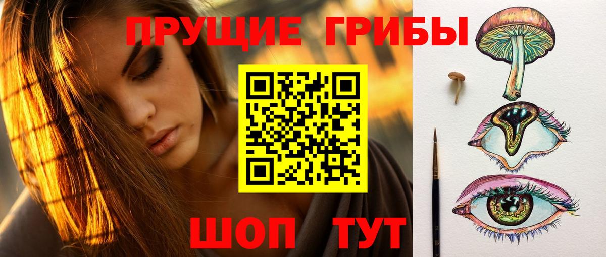 Заринск  Псилоцибиновые грибы Magic Shrooms  Вход с VPN 