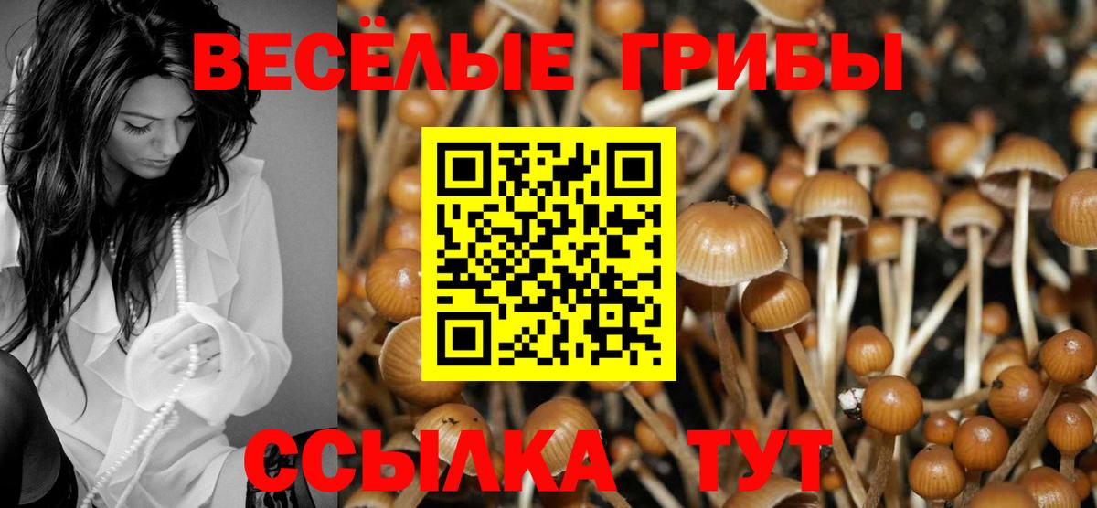 Псилоцибиновые грибы Cubensis Заринск